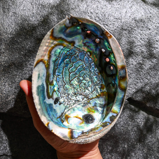 Natural Abalone Shell by Maison Etherique