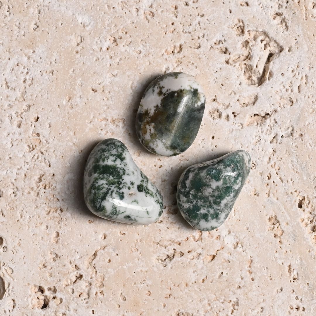 Set of 3 Tree Agate Tumbled Stones 