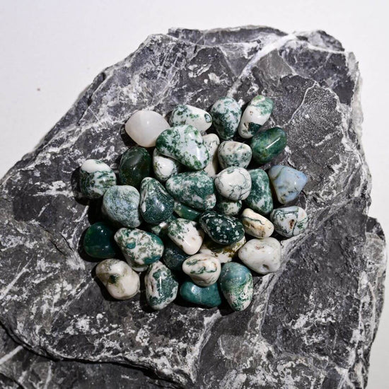 Tree Agate Tumbled Stones by Maison Etherique