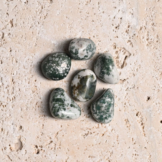 Set of 6 Tree Agate Tumbled Stones 