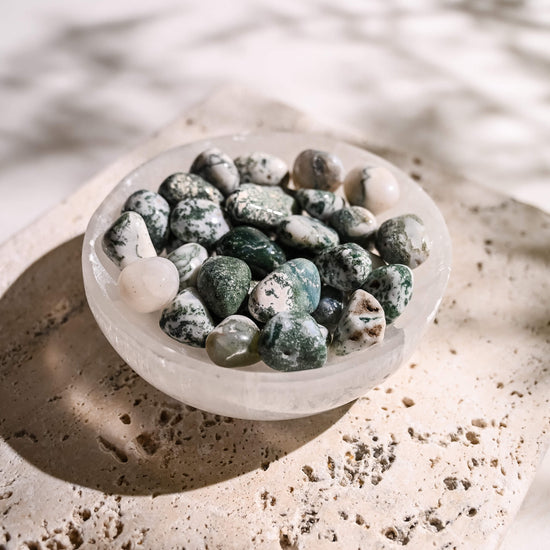 Tree Agate Tumbled Stones in Selenite Bowl