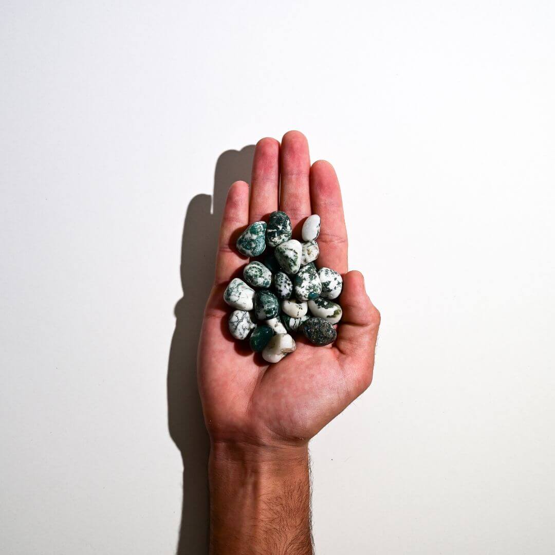 Handful of Tree Agate Tumbled Stones 