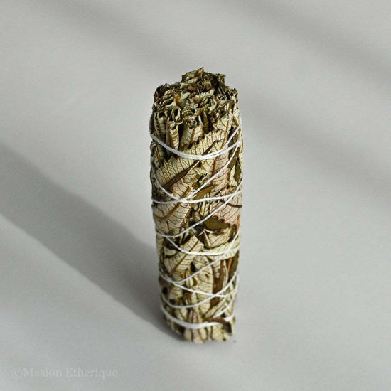 Yerba Santa Smudge Stick shit from top