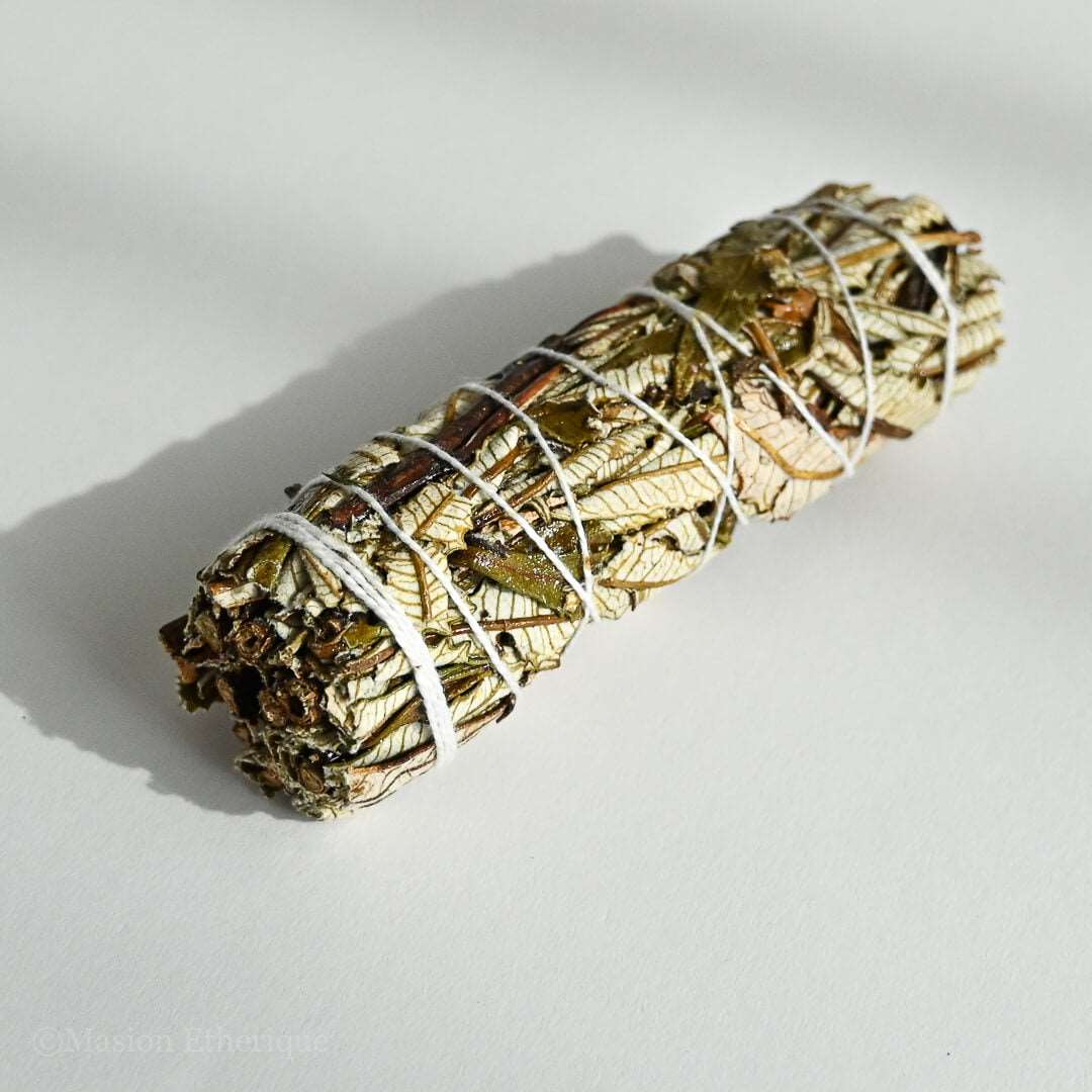 Yerba Santa  Smudge Stick placed on white surface